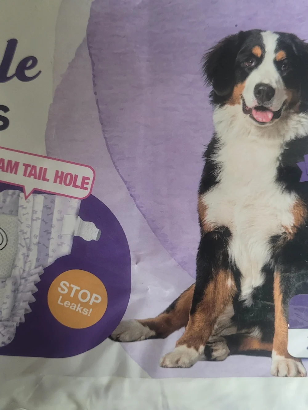 Disposable Female Dog Diapers - Purple